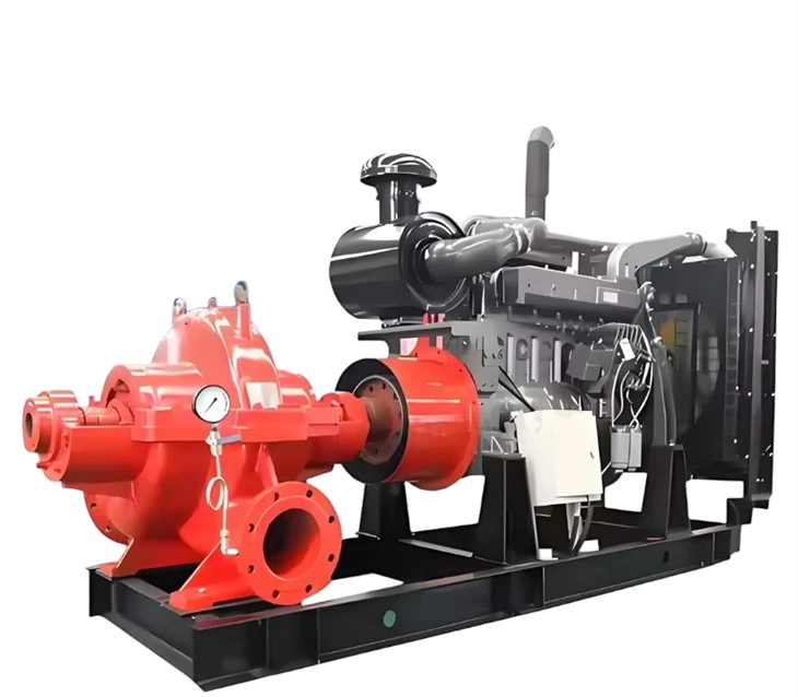 Cast Iron Double Suction Water Pump For Industrial Circulation System best